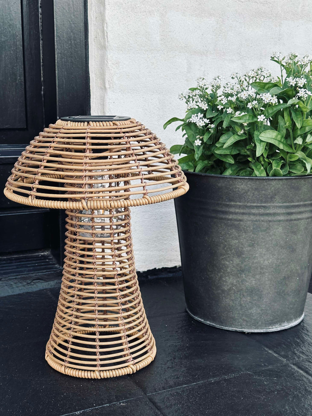 Mushroom Solar - Natur Small