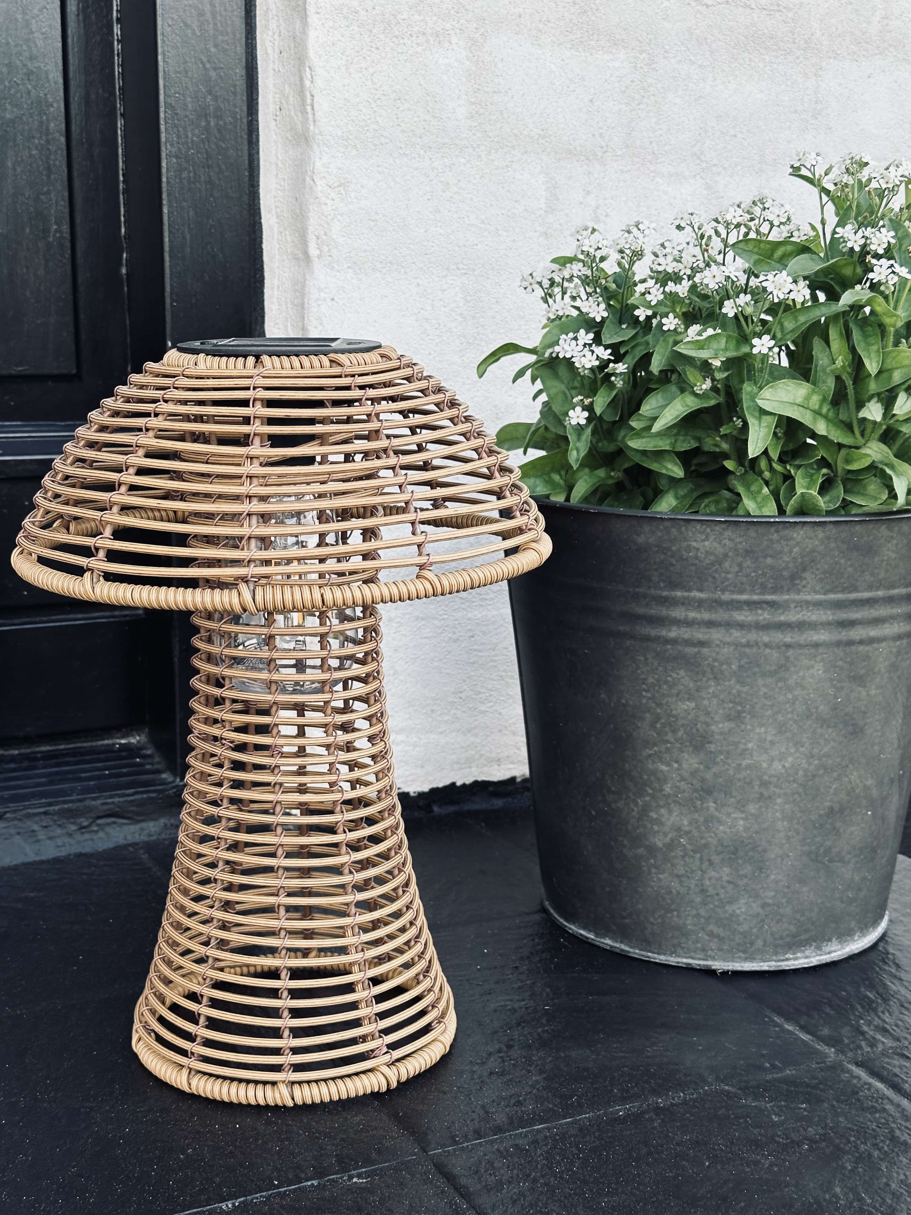 Mushroom Solar - Natur Small