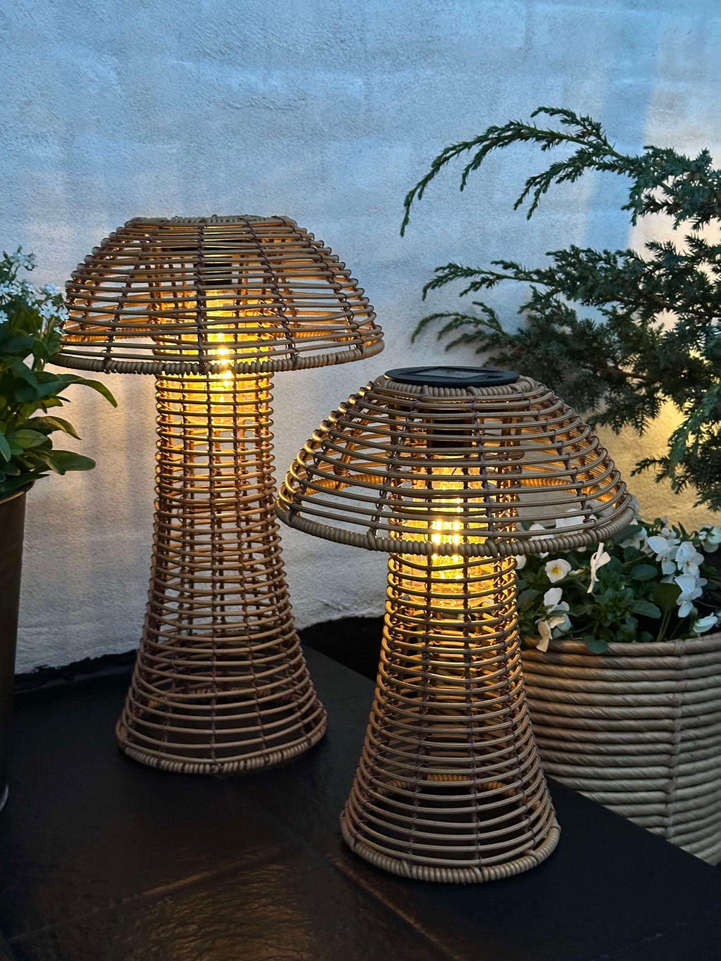 Mushroom Solar - Natur Small