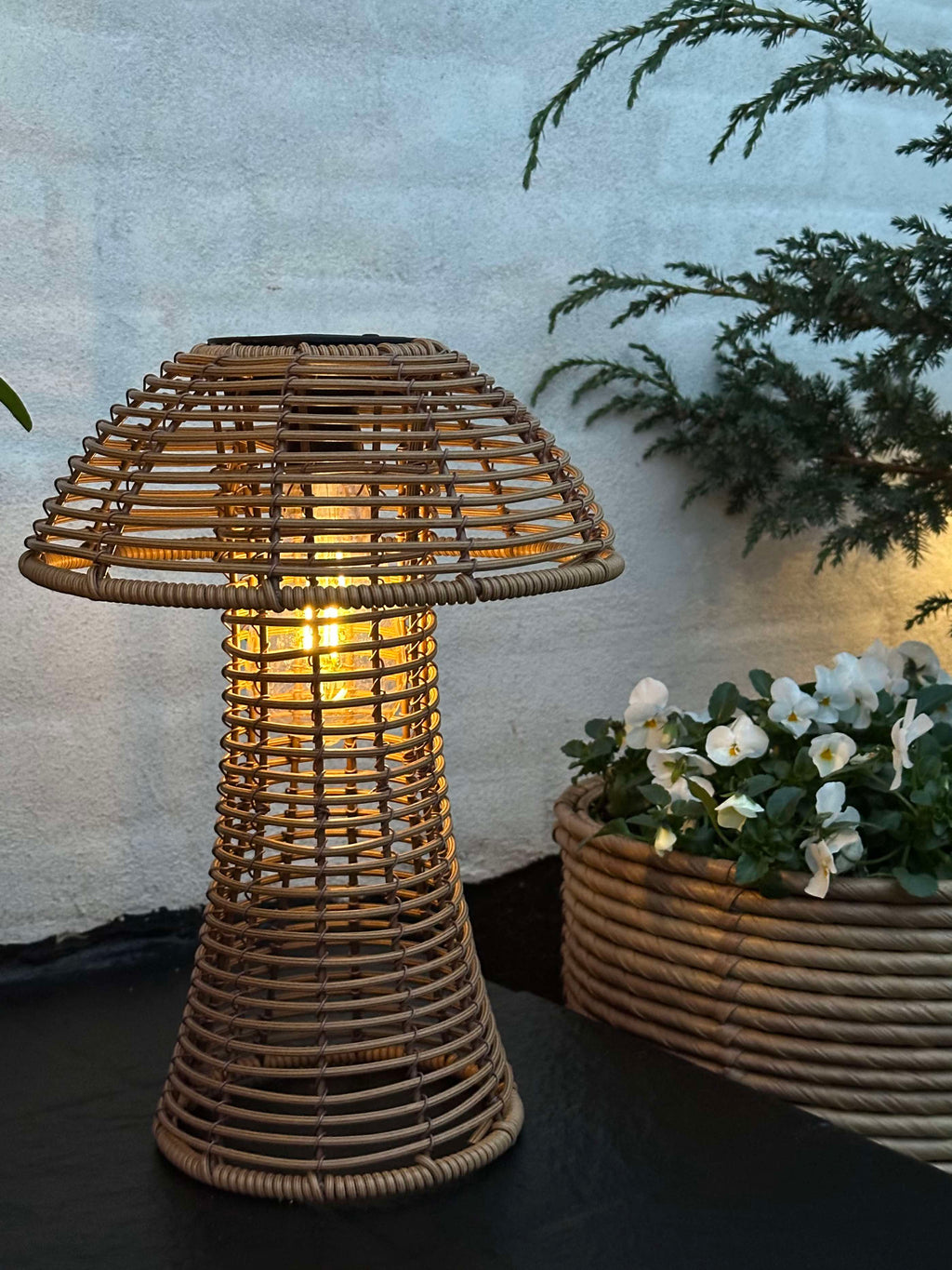 Mushroom Solar - Natur Small