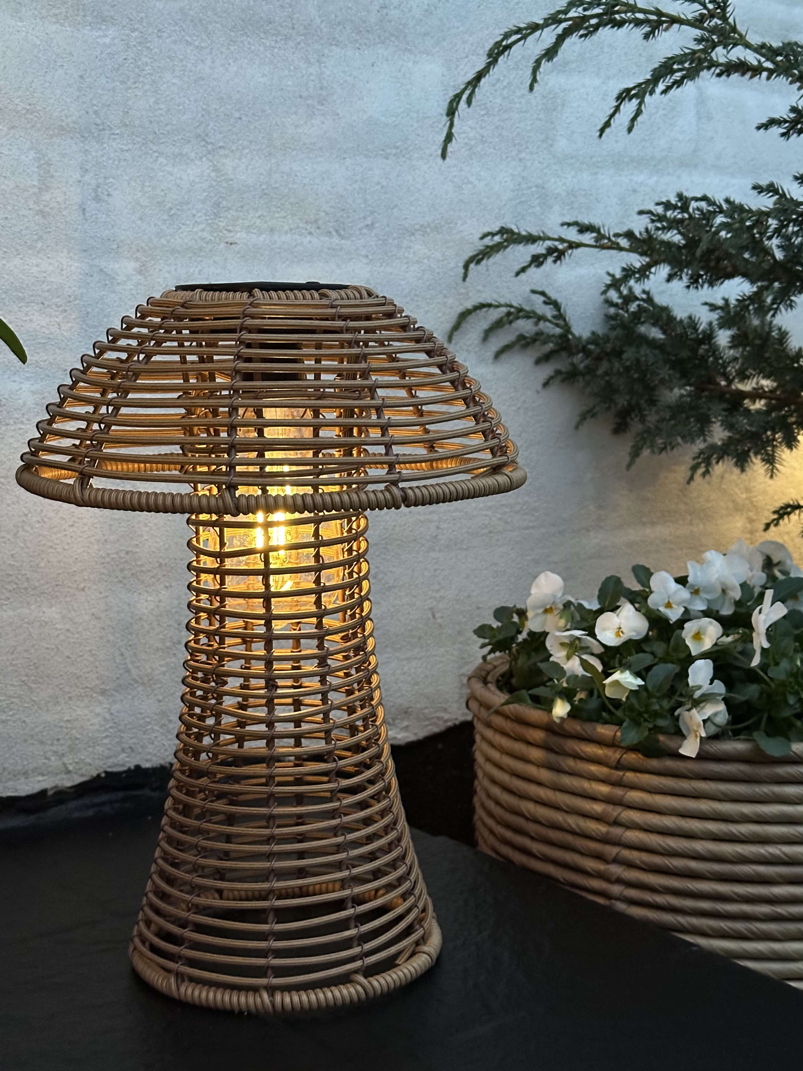 Mushroom Solar - Natur Small