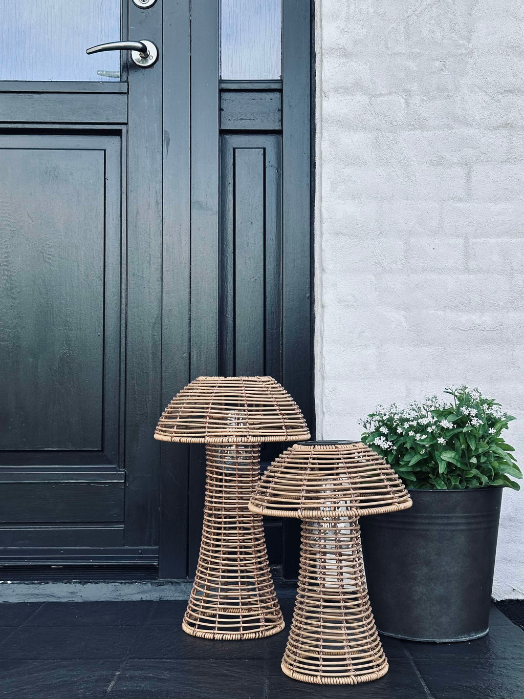 Mushroom Solar - Natur Small