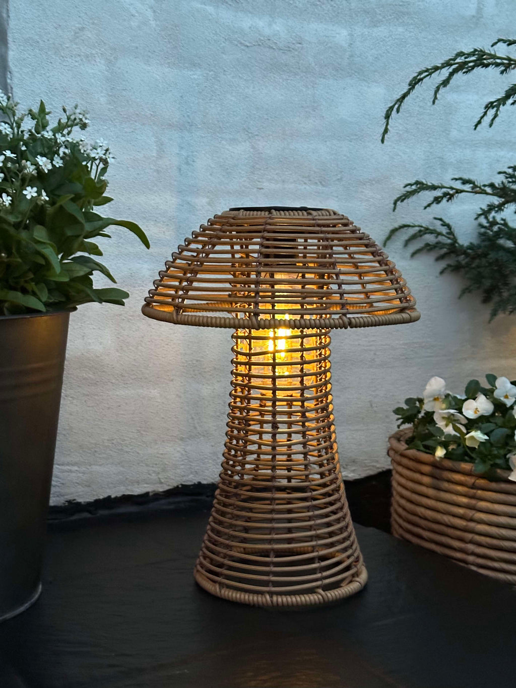 Mushroom Solar - Natur Small