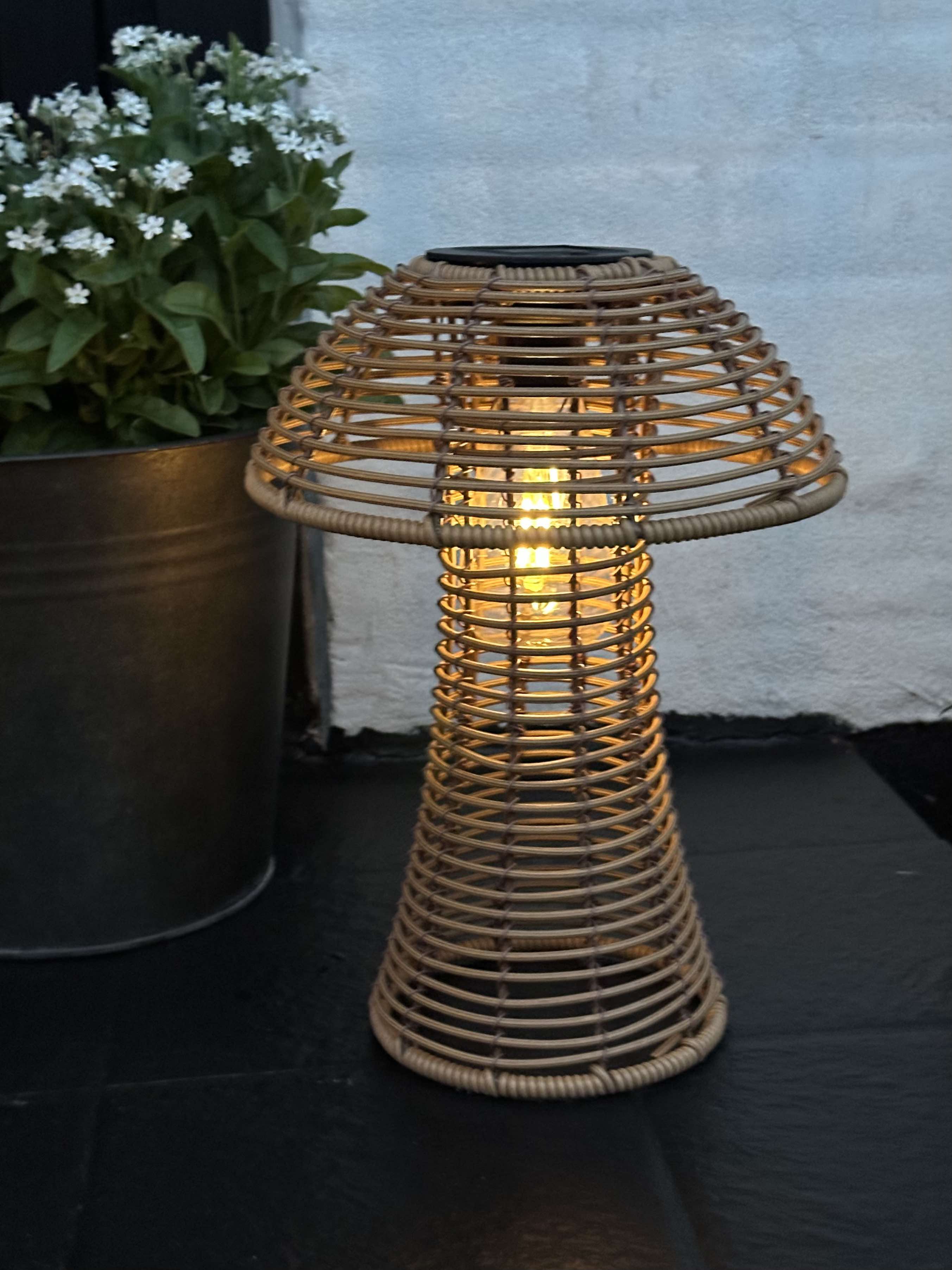Mushroom Solar - Natur Small