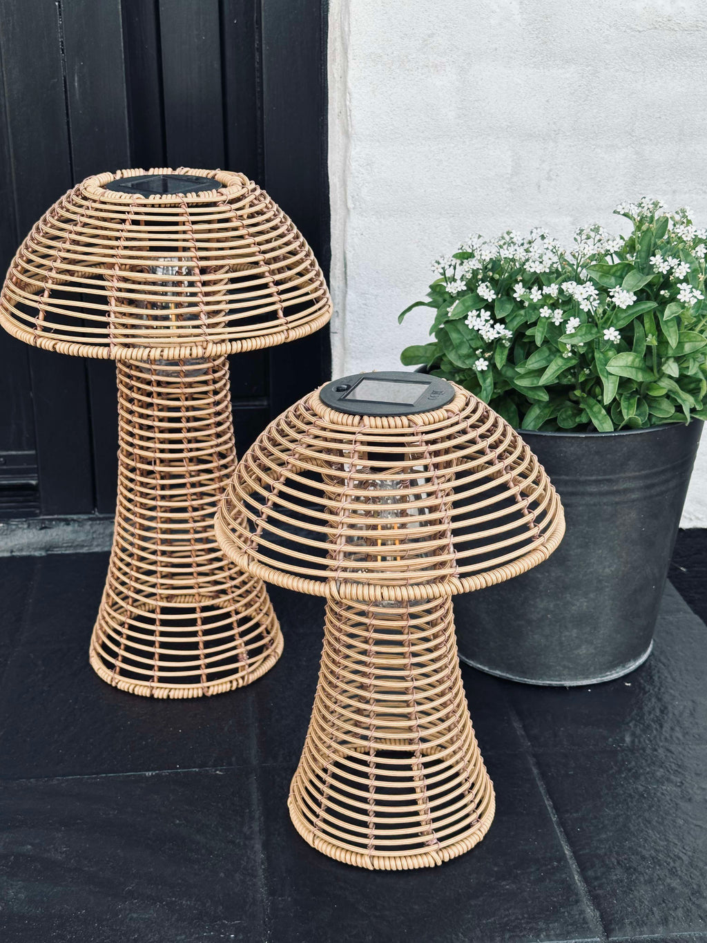 Mushroom Solar - Natur Small