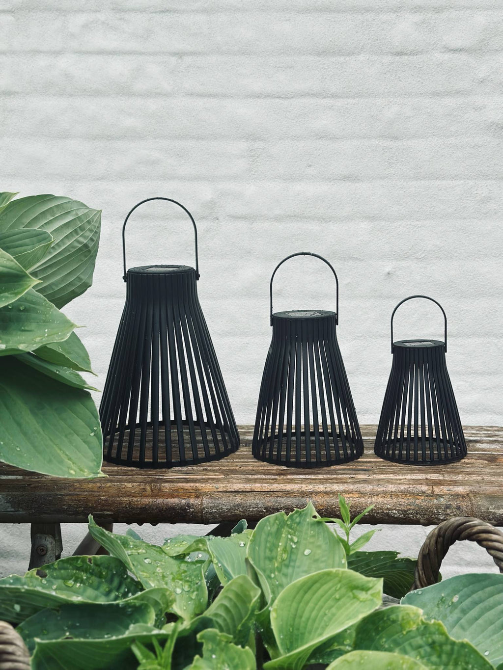 Lanterne med solceller - GARDEN BLACK 18cm